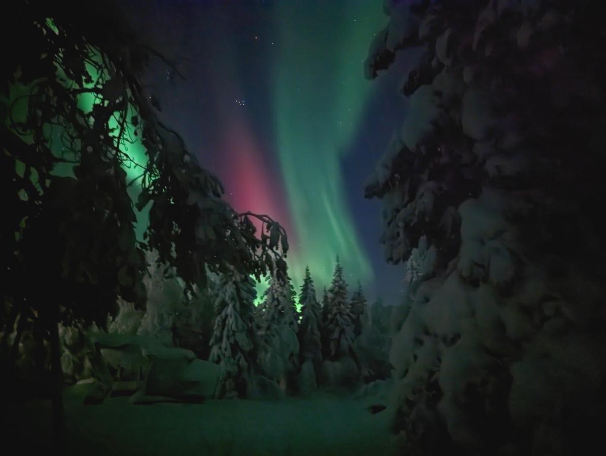 Lapland Snow Cabin Masugnsbyn Bagian luar foto
