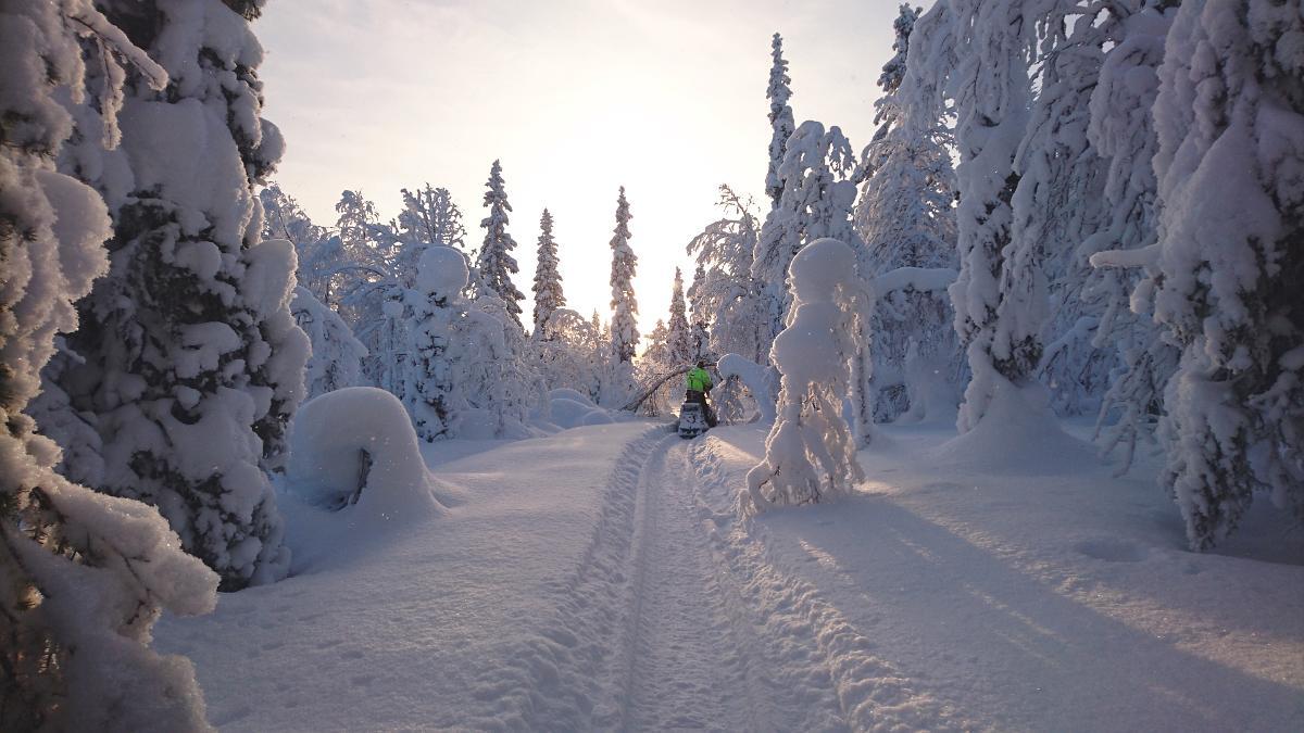 Lapland Snow Cabin Masugnsbyn Bagian luar foto